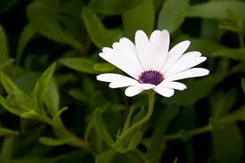 images-5