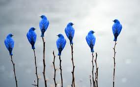 images-11