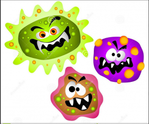 virus