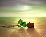 images-4