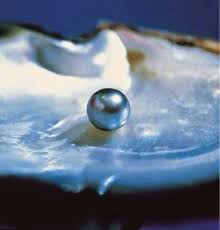images-7